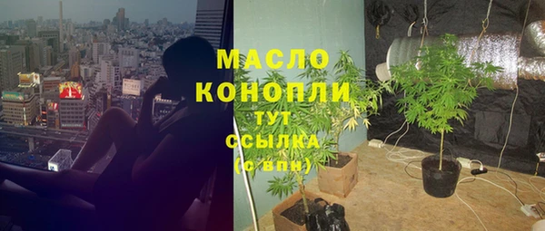 шишки Горнозаводск