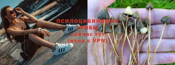 прущие грибы Киренск