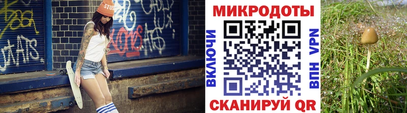 Галлюциногенные грибы Psilocybine cubensis МЕГА ТОР Приморско-Ахтарск цена