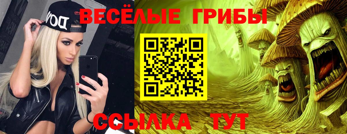 Галлюциногенные грибы мицелий Приморско-Ахтарск