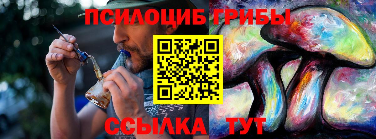 Приморско-Ахтарск  наркотики  Вход с VPN  Галлюциногенные грибы Psilocybine cubensis 
